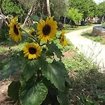 Glyfada Bay Holiday home