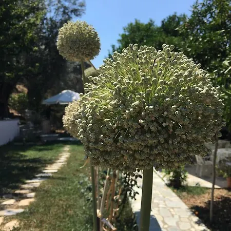 Tatil Evi Glyfada Bay *