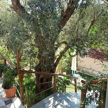 Glyfada Bay * Koukouleika