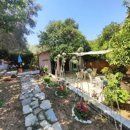 Glyfada Bay Tatil Evi *