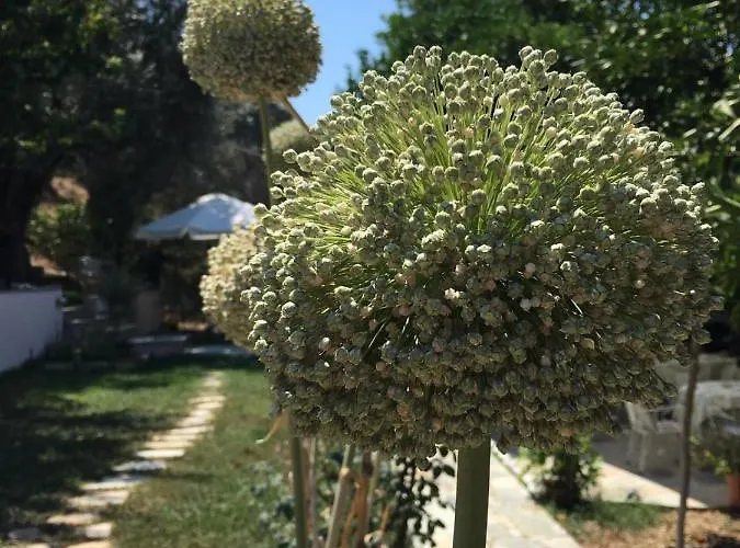 Case de vacanță Glyfada Bay *
